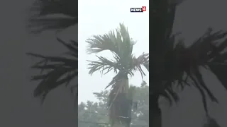 Gusty Winds And Rain Uproot Trees And Create Havoc As Cyclone 'Remal' Makes Landfall | N18S