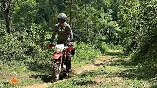 Vietnam Motorbike Tours Away From The Tourist Paths On A Jungle Track | OffroadVietnam.Com