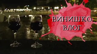 VLOG | Ночной винишко-влог | Скопье