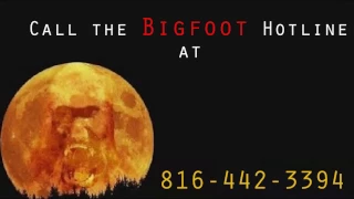 Bigfoot Bounty News