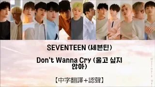 [中字翻譯+認聲] SEVENTEEN - Don't Wanna Cry (不想哭) 歌詞