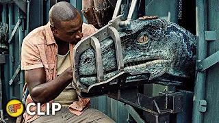 Raptors Cage Scene | Jurassic World (2015) Movie Clip HD 4K