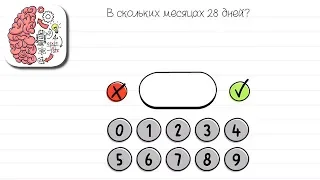 Как пройти Brain Test 17 уровень В скольких месяцах 28 дней?