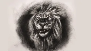 Drawing Lion Using Charcoal Timelapse | Portrait of the King of the Jungle