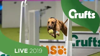 Crufts 2019 Day 3 - Part 2 LIVE