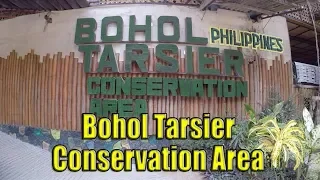 Bohol Tarsier Conservation Area.