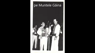 Avram Deoancă și orchestra „Țarina” - Sună tulnicul în munte (1982)