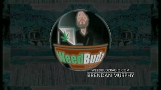 WeedBudzTV: Brendan Murphy discusses Cannabis Industry and Policy. Regulating California Cannabis.