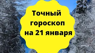 Точный гороскоп на 21 января. Для каждого знака зодиака.