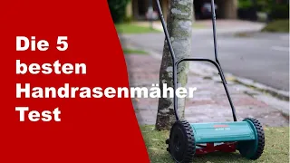 Spindelmäher Test ✔️ Top 5 besten Handrasenmäher Test 2023