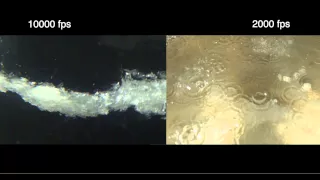 Prince Rupert's Drops in Slow Motion