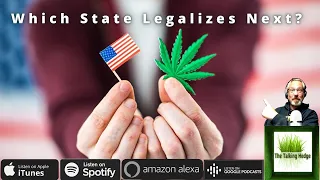 A Guide To Cannabis Legalization In The US