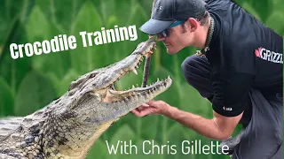 FACE TO FACE WITH A CROCODILE! Training Cuban Crocs!