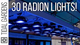 We put 30 Ecotech Radions over this Reef Tank