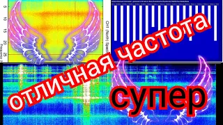 Хорошая частота 21,12 обзор графиков Резонанса Шумана из разных стран 20,12,2021 год