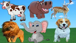 CUTE LITTLE ANIMALS ELEPHANTCAT, COW, DUCK, DOG, CHICKEN -ANIMAL MOMENTS, ANIMAL SOUND 143