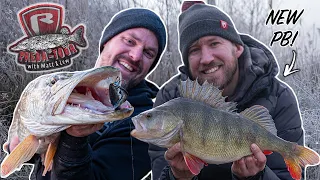 MONSTER PERCH! Deadbait and Lure Fishing at LINEAR FISHERIES!