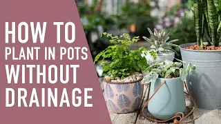 Planting in Pots Without Drainage 🌱💚 || West Coast Gardens