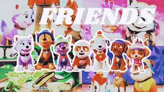 🙈 FRIENDS 🙈 | Like Angry Birds 🐦 (and one cute pig🐷👀) |PAW PATROL mv