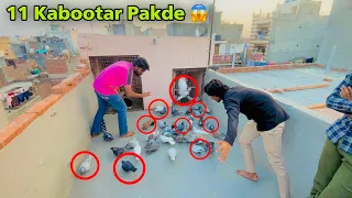 11 Kabootar pakde | 1 हाथ में 11 कबूतर पकड़े 😱 सेहदी के