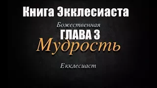 Всему свое время. Книга Екклесиаста.  Глава 3 (Современный перевод)