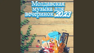 Молдавская музыка для вечеринок 2023