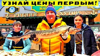 🔥Уха, Икра, Сом и Осётр ⚓ Одесса 🐟 Рыбный день на Рынке Початок 🎬 25.01.2024 💥