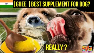 Best Supplement for your dog | Billa Boyka |