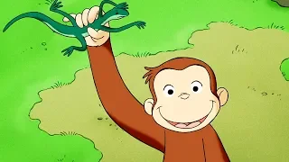 Curious George 🐵Curious George and The Invisible Sound 🐵Kids Cartoon 🐵Kids Movies 🐵Videos for Kids