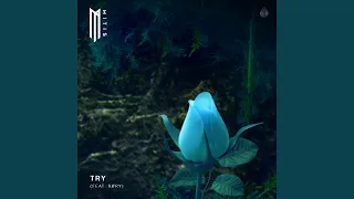 Try (feat. RØRY)
