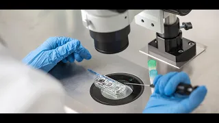 Blastocyst Thawing Blastocyst freezing Fully Integrated System recovery of embryos..