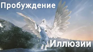 Пробуждение иллюзии БДО. С рысака до пегаса с нуля. T9 Arduanatt BDO horse.