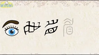 Chinese Character Evolution and Strokes汉字演变+笔画 | 眉mei / eyebrow