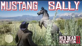 How to Find the Grullo Dun Mustang Near Horsehoe Overlook in Red Dead Redemption 2