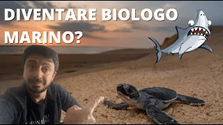 Cambio vita e DIVENTO BIOLOGO MARINO 🐳 🐡 🦑🦈