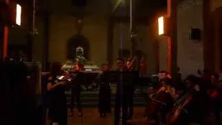Concerto for 2 Violas, TWV 52:G3 G.P Telemann (3rd/4th Movement)
