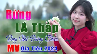 ✔️ VIDEO/MV Rừng Lá Thấp, Kẻ Ở Miền Xa Liên Khúc Bolero Gia Tiến Ngọt Ngào Say Đắm Nhiều Thế Hệ