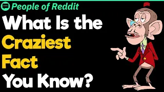 What is the Craziest Fact You Know?