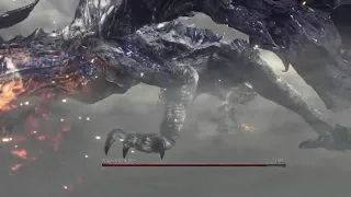 Epic Boss Fight! (Nameless King VS Darkeater Midir) Dark Souls 3