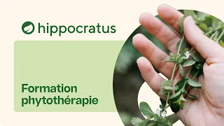 Formation en Phytothérapie