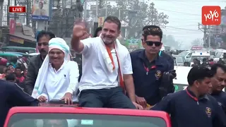 Malda: Rahul Gandhi MASS Craze In West Bengal | Rahul Gandhi Convoy | Mamata Banerjee | Modi |YOYOTV