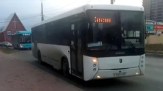 Автобусы на остановке ул. Галушина | г. Архангельск