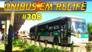 #208 - Terminal da Joana Bezerra  - Movimentação dos ônus em Recife
