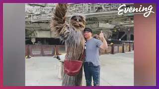 The full Star Wars experience at Disneyland®  Resort