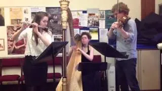 Sonatine by Ravel, arranged for flute,viola and harp by Ska