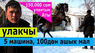 10 жылда 5 автоунаа, 100дөн ашык жандык уткан НООКАТТЫК  улакчы