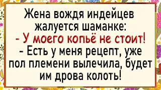 У вождя индейцев не стоит! Сборник смешных анекдотов! Юмор