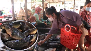 Have you ever eaten these Mekong River fishes / Grilled fishes with chili pickled bean sprout recipe