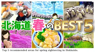 [Hokkaido trip] Top 5 spring sightseeing areas where you can enjoy meals, healing, and entertainment