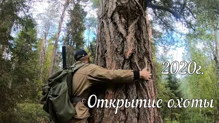 Открытие охоты 2020г №2 проверка молодых собак.